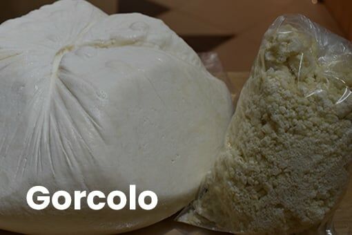Gorcolo Nedir?