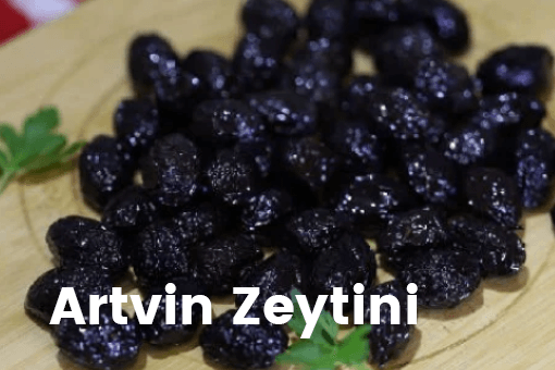 Artvin Zeytini