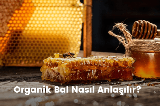 Organik Bal Nasıl Anlaşılır?