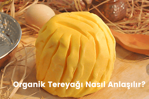 Organik Tereyağı Nasıl Anlaşılır?